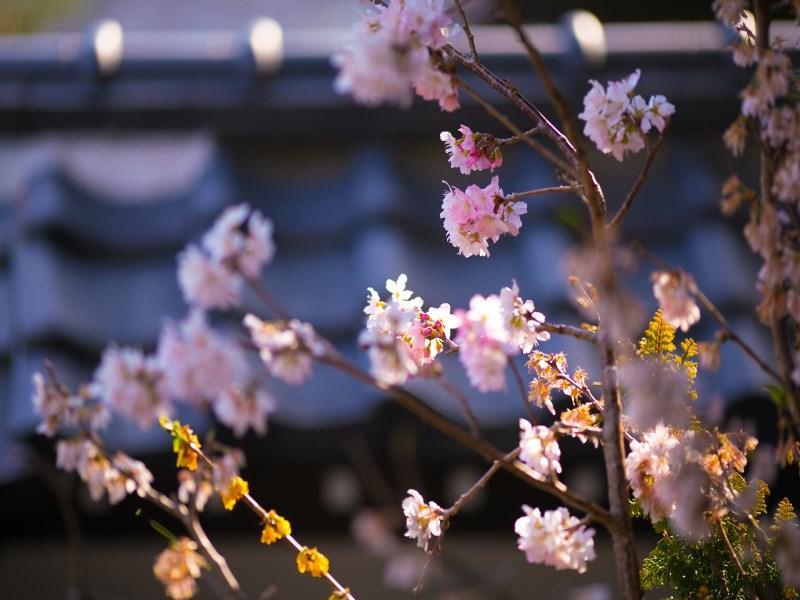 Motoyu Ryokan Ацуги Екстериор снимка