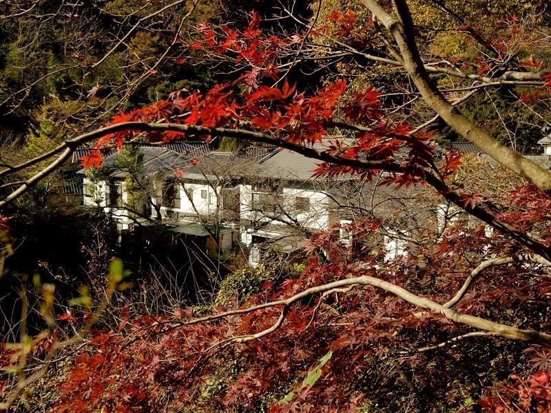 Motoyu Ryokan Ацуги Екстериор снимка